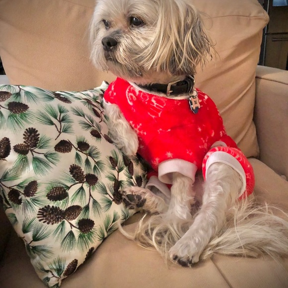 Meet your posher- John (aka whocaresdamnit) - Picture 5 of 14